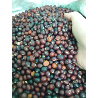 Hạt đậu rồng
