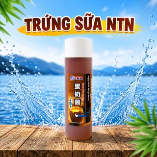 Combo Tinh Mùi Câu Tổng Hợp Phi chép NTN