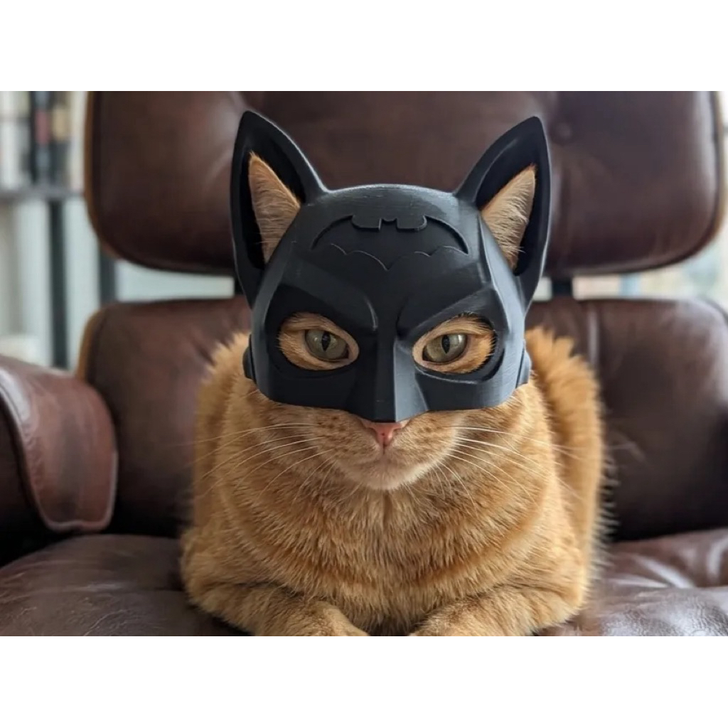 Mặt nạ batman cho mèo | Batman mask for cat