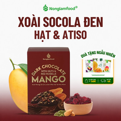 Xoài Sấy Dẻo Nhúng Socola Đen Phủ Hạt Và Hoa Atiso NONGLAMFOOD Trái Cây Sấy, Đồ Ăn Vặt Hộp 120g