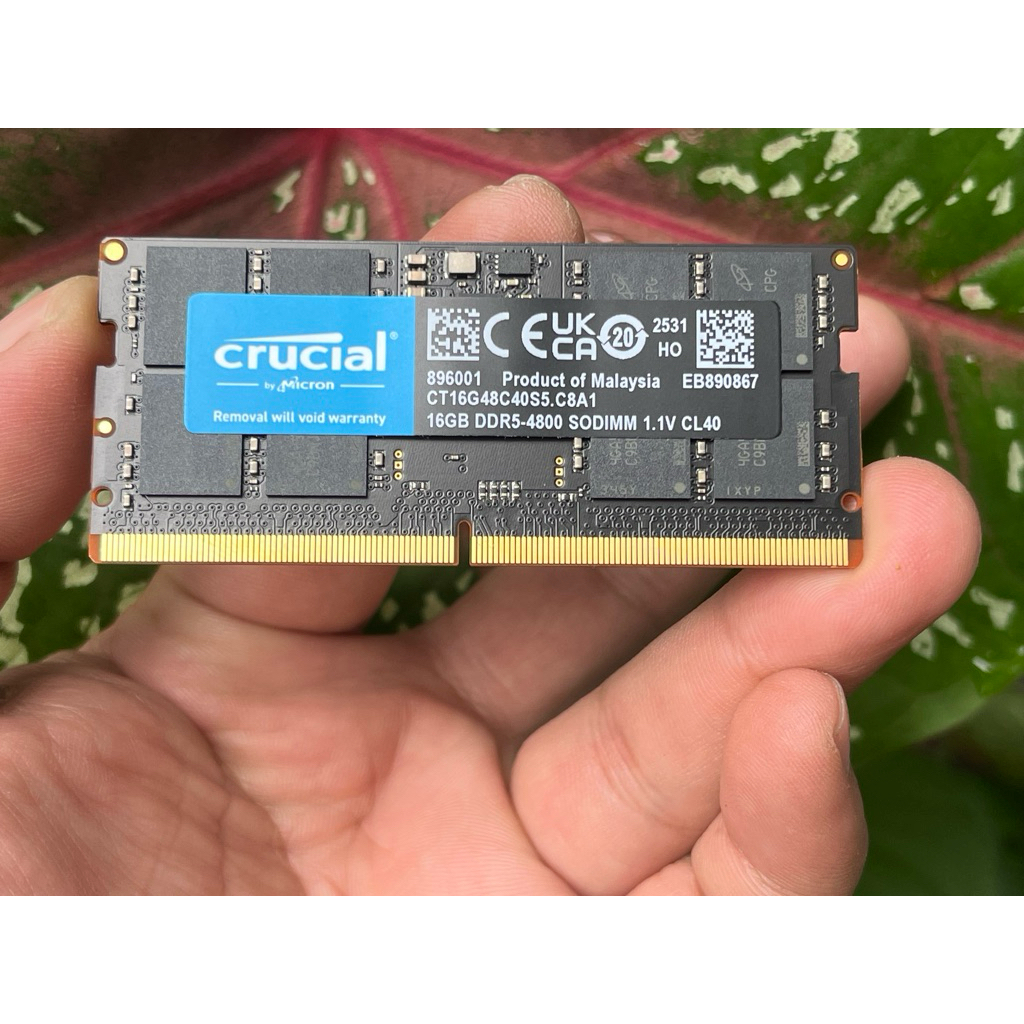 bán ram laptop DDR5 16GB 4800 Crucial hàng cũ zin bóc máy chính hãng