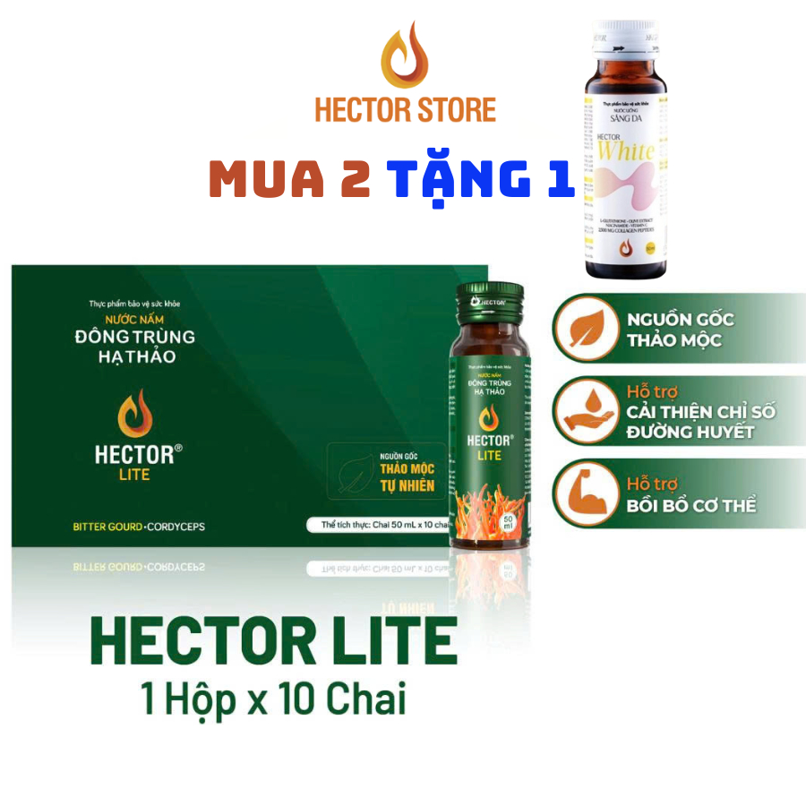 Hector Lite Đông Trùng Hạ Thảo (hộp 10 chai)