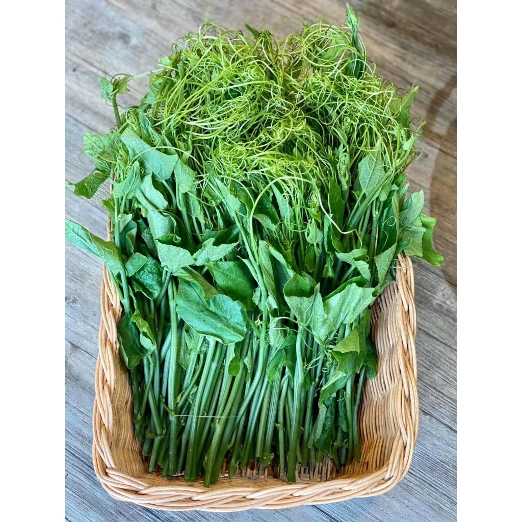 [HỎA TỐC] 5 KG ĐỌT SU SU ĐÀ LẠT TƯƠI - VUI LÒNG ĐẶT TRƯỚC 1 NGÀY ĐỂ RAU TƯƠI NGON NHẤT.