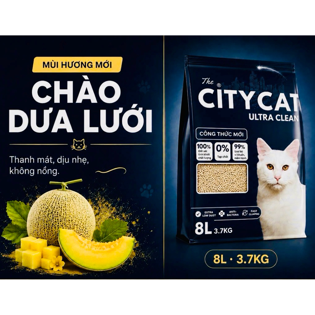 [ Giao hoả tốc] Cát vệ sinh cho mèo CityCat giá rẻ