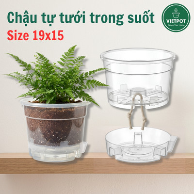 Chậu tự tưới trong suốt Vietpot, size 19x15cm, thông minh, trang trí nhà cửa, ban công, sân vườn.