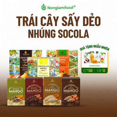 Trái Cây Sấy Dẻo Nhúng Socola NONGLAMFOOD Hàng Loại 1 Chuẩn Xuất Khẩu Hộp 120g, 145g