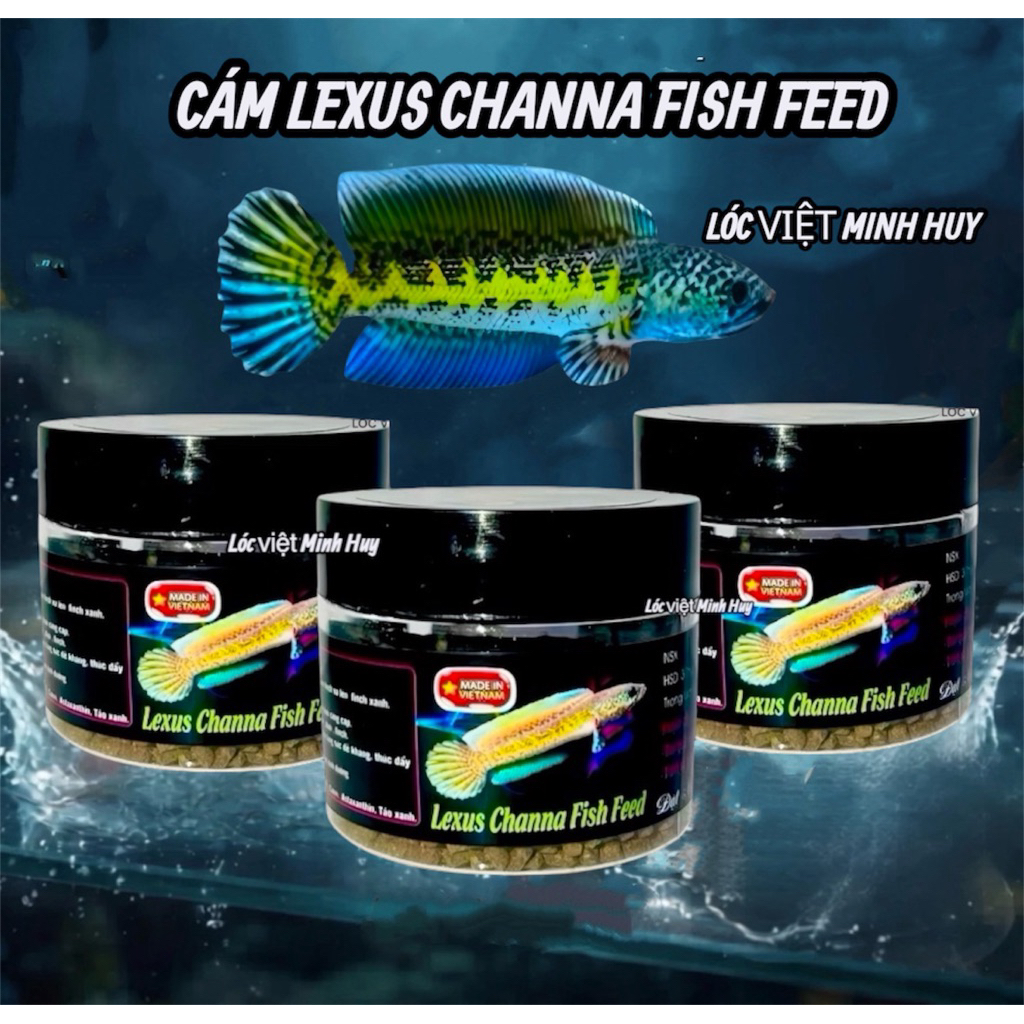 Cám lexus channa fish feed  -cám cao cấp cho nữ hoàng và cho lóc lạnh