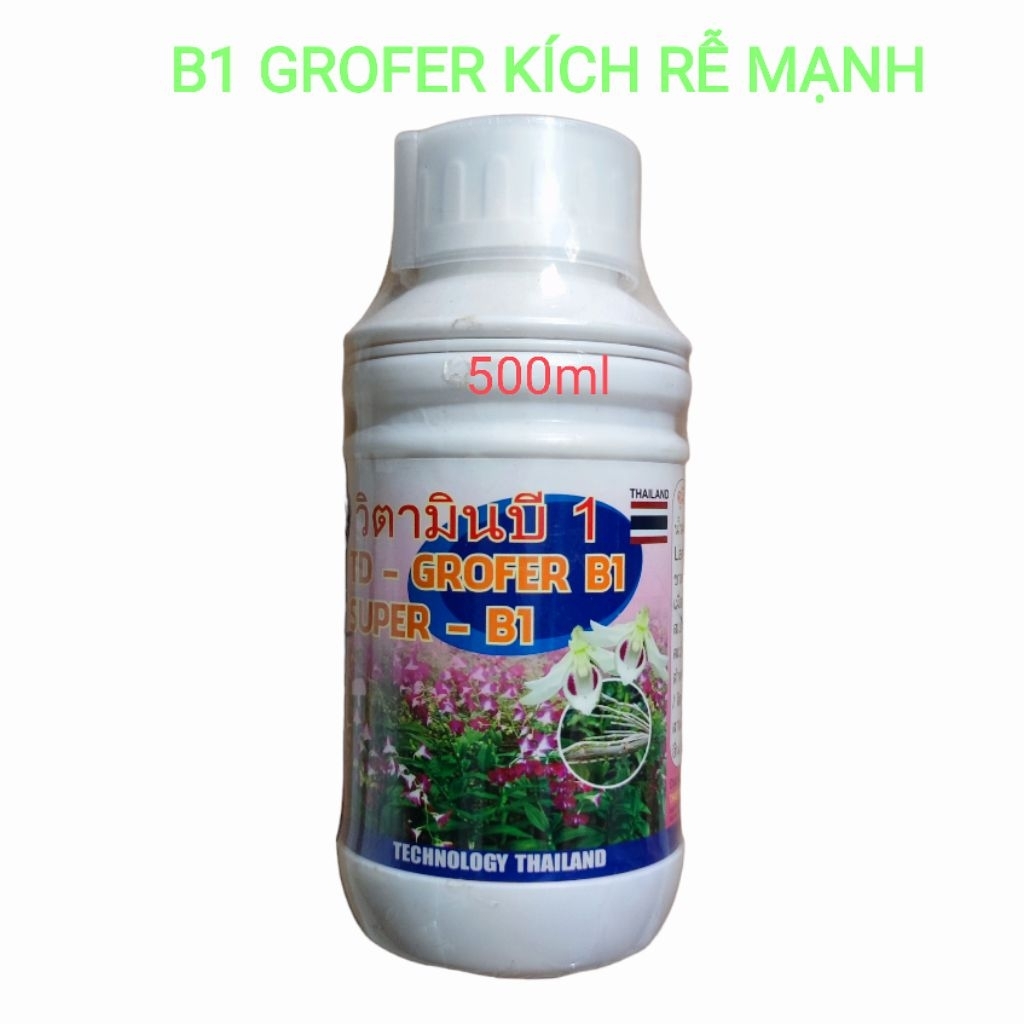 Siêu kích rễ B1 Grofer chuyên kích rễ cho hoa lan
