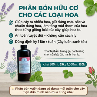 Sage Hàn Salvia Hot Lips JUN GARDEN