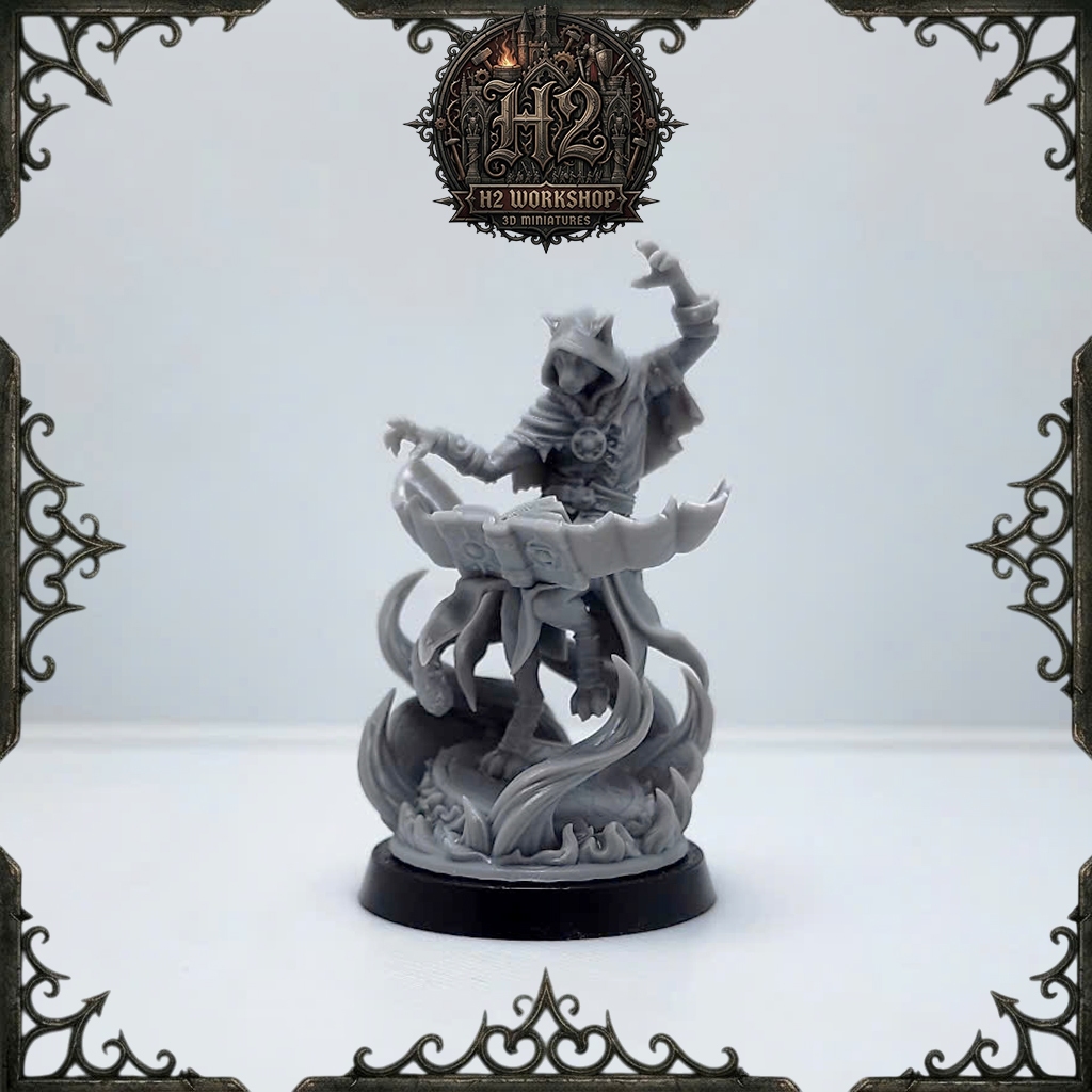 [Mô hình in 3D] Mô hình DnD lớp nhân vật pháp sư - Wizard 002