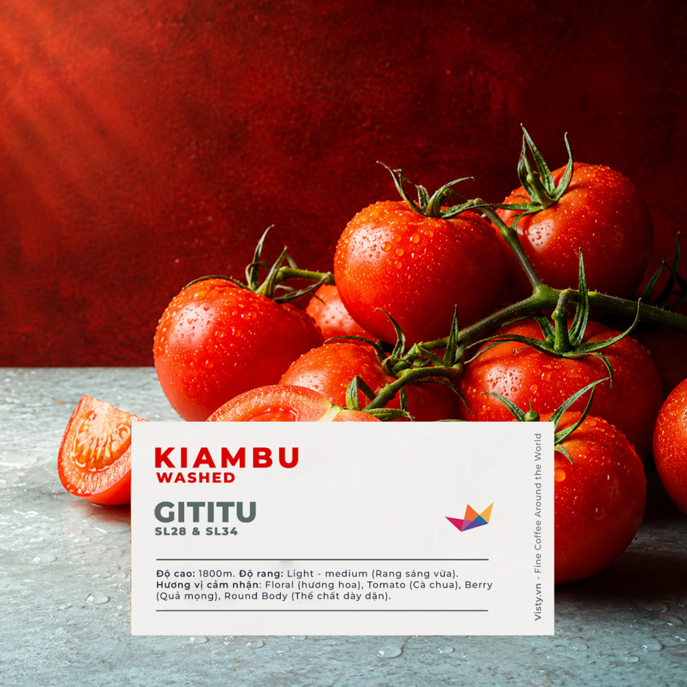 Cà Phê Kenya Kiambu Gititu AA++ — Berry, Cà Chua - dành cho Pour Over