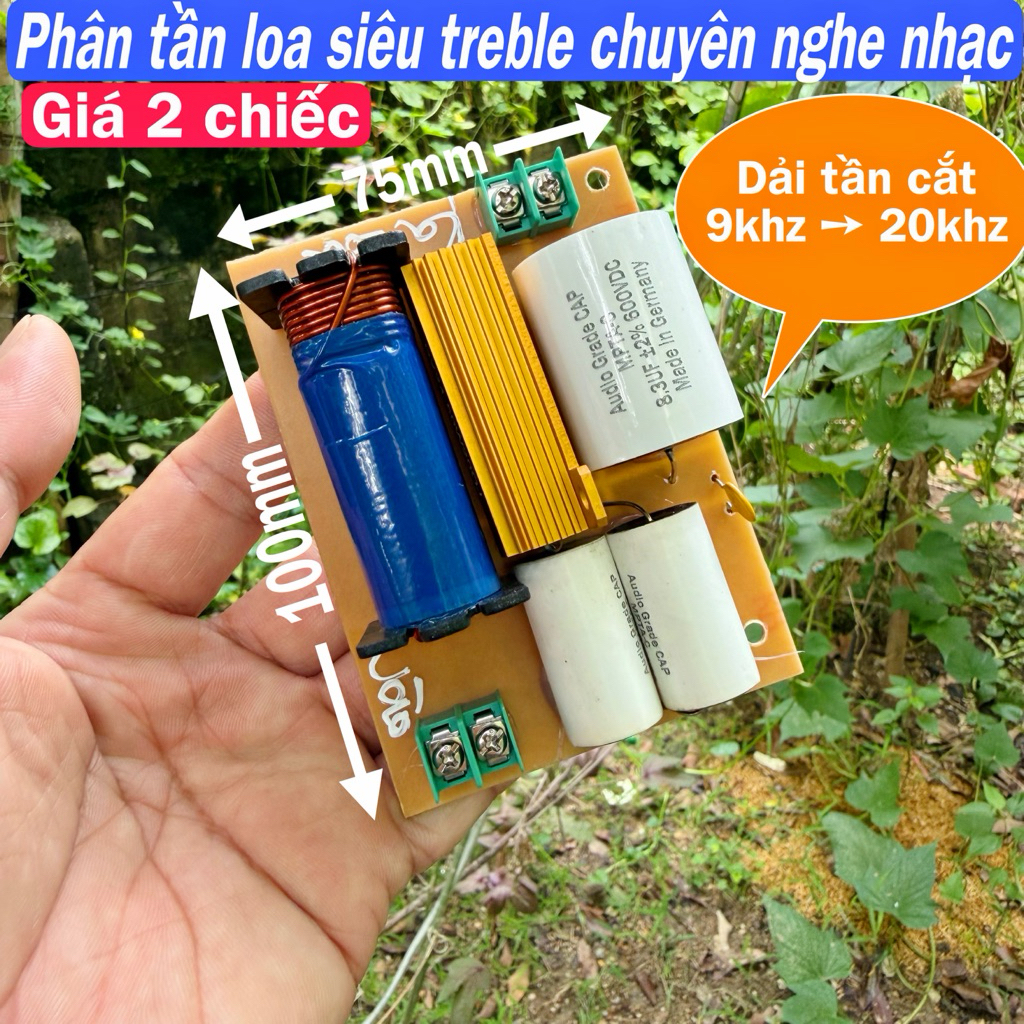 Phân tần loa siêu treble từ neo 750