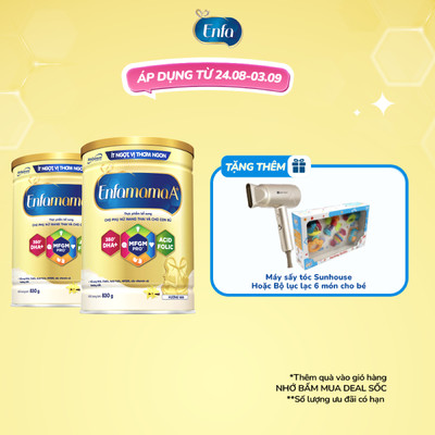 Bộ 2 sữa Bầu Enfamama A+ - Hương Vanila 830g/lon