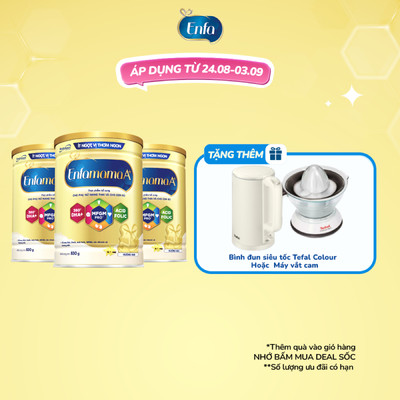 Bộ 3 sữa Bầu Enfamama A+ - Hương Vanila 830g/lon