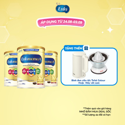 Bộ 3 sữa Bầu Enfamama A+ - Hương Chocolate 830g/lon