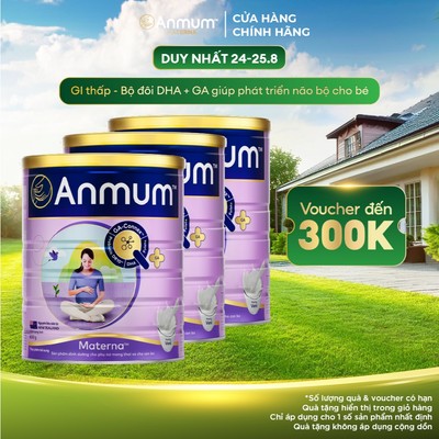 Combo 3 sữa bầu Anmum Materna hương Vani 800g