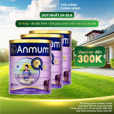 Combo 3 sữa bầu Anmum Materna hương Chocolate 800g