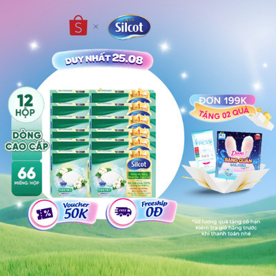 Bộ 12 hộp Bông trang điểm (bông tẩy trang) cao cấp Silcot Premium 66 miếng/hộp