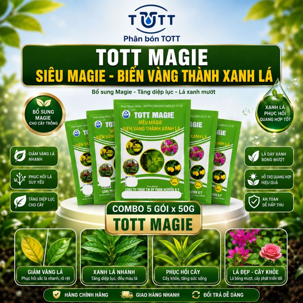Phân bón magie chống vàng, phân bón xanh lá, siêu magie, Tott Magie combo 5 gói 50gram, phân bón TOT