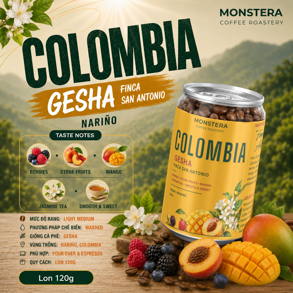 Colombia Gesha - Finca  San Antonio - Nguyên hạt - Specialty Coffee - Monstera Roastery - Lon 120g