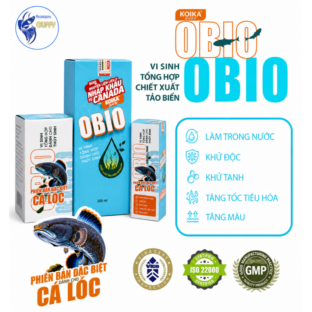 Vi sinh KOIKA OBIO ( phiên bản cho CÁ LÓC)- Vi Sinh Cao Cấp Dành Cho Cá Cảnh