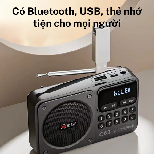 Radio FM C63 Bluetooth Không rè Không Nhiễu - Băng Tần FM, Kết nối bluetooth, thẻ nhớ, USB Pin trâu