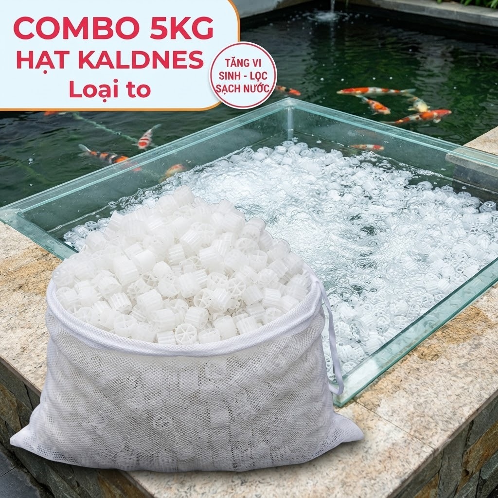 Hạt Kaldnes (Kanet) 5KG LOẠI TO - Vật Liệu Lọc Nước Hồ Cá, Bể Cá Cảnh, Tạo Oxy Khủng