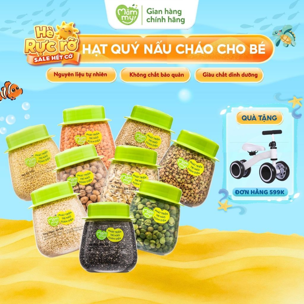 Tổng hợp hạt ăn dặm hữu cơ Mămmy loại 1 cho bé hạt đậu lăng, đậu gà, diêm mạch, kiều mạch, kê nếp, yến mạch...
