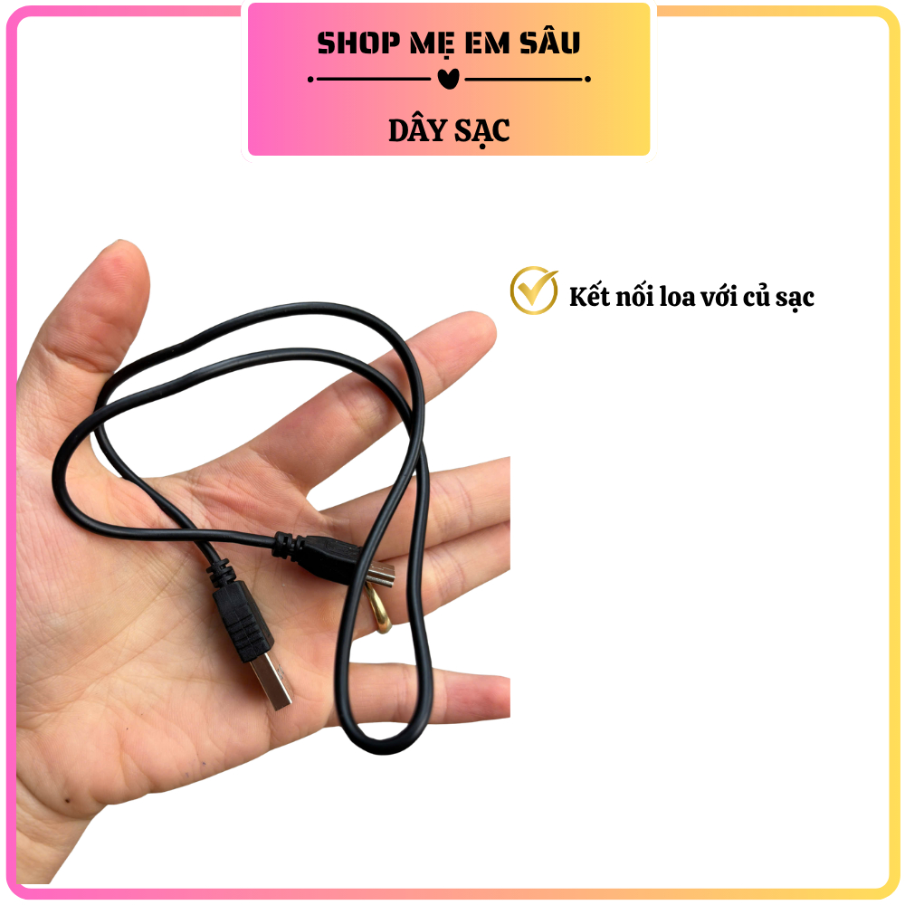 Dây sạc loa Craven