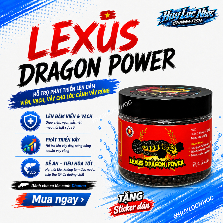 Cám Lexus Dragon Power ( BẢN MỚI) Thức ăn cao cấp cho cá lóc vảy Rồng-Hỗ Trợ Màu viền vảy vượt trội