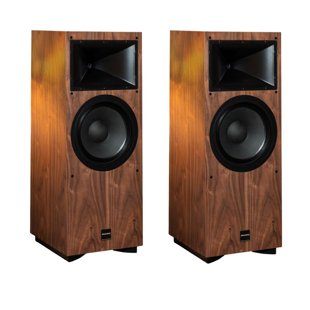 Loa Paramax Classe 300