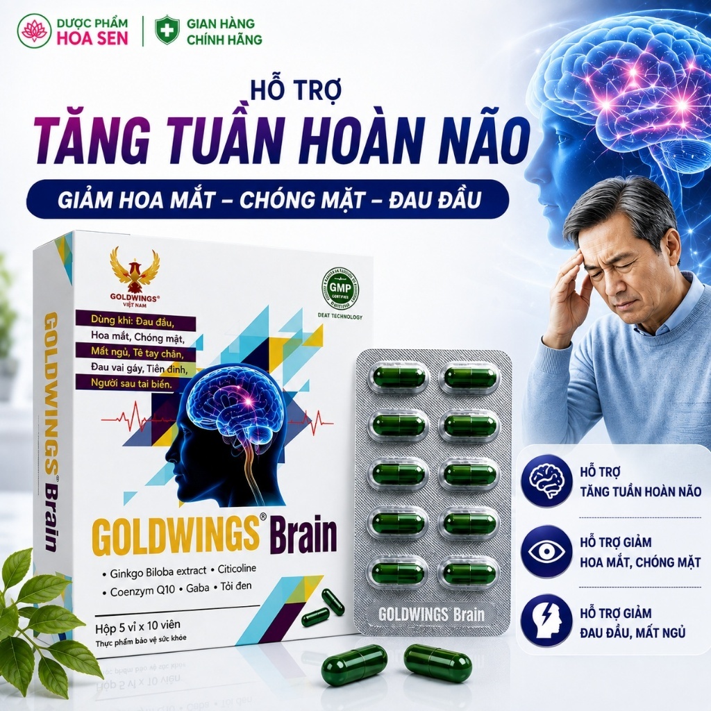 {CHÍNH HÃNG} Goldwings Brain – Hỗ Trợ Tuần Hoàn Não Khỏe Mạnh, Phòng Tai Biến, Giảm Nguy Cơ Di Chứng