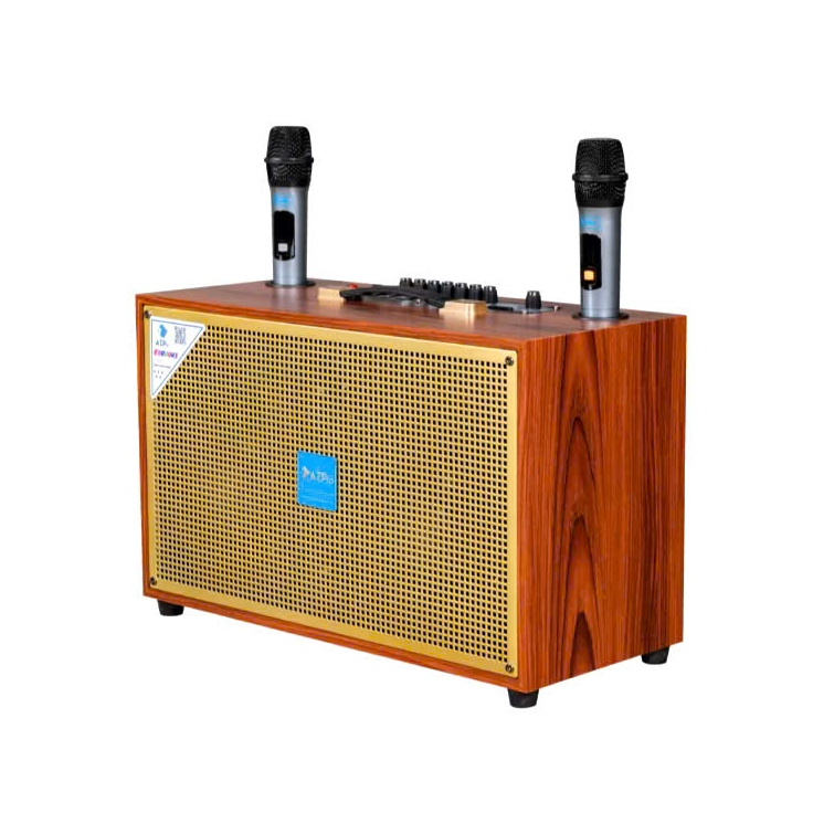Loa karaoke xách tay AZPRO SG-10, 2 bass 20, 2 micro, BH 1 năm.
