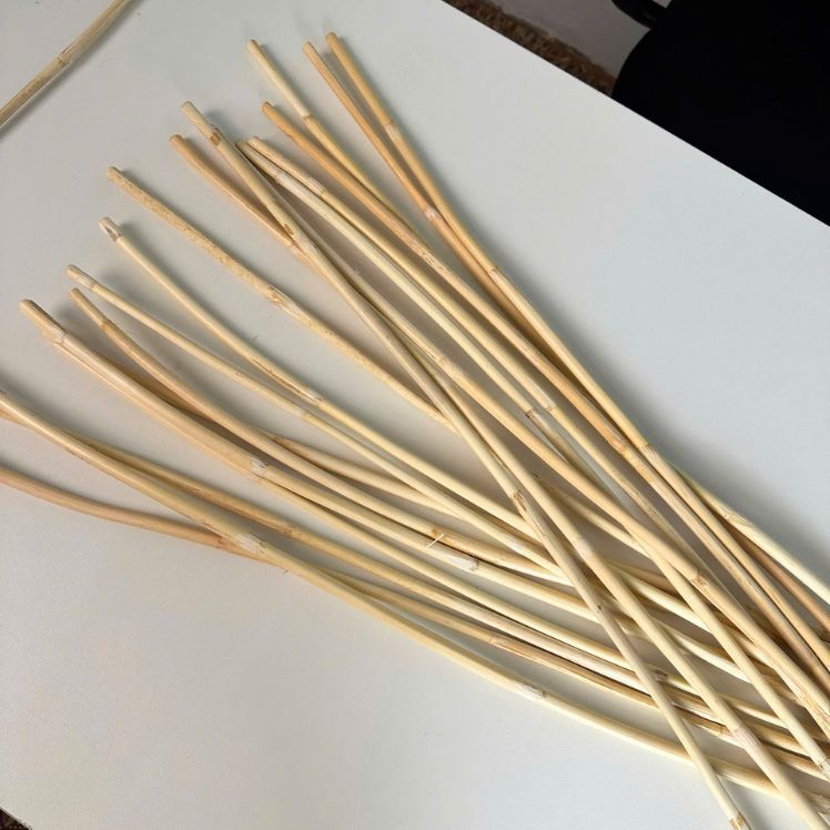 Combo Cây Mây Dẻo Dai Dài 80cm - Dùng Để Trang Trí Sân Vườn