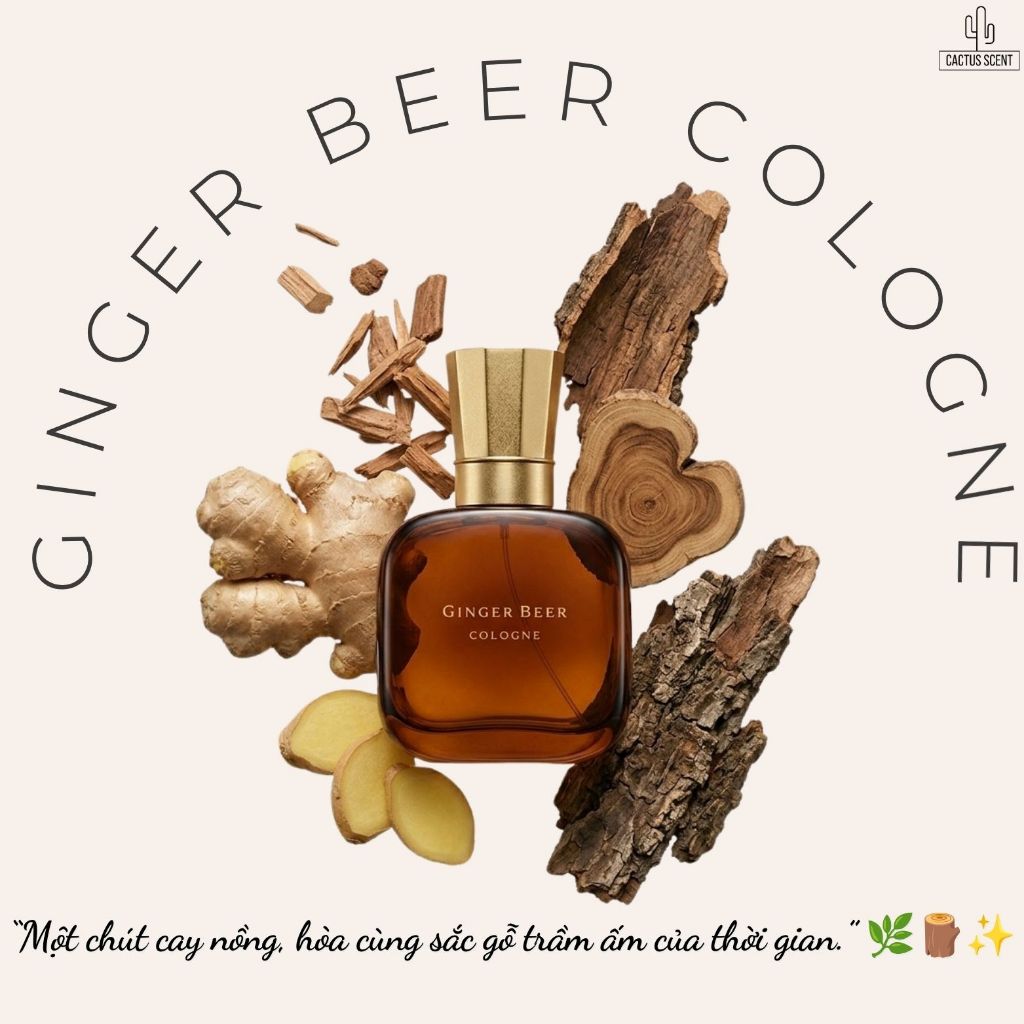 Nước hoa Unisex Ginger Beer Cologne gừng tươi quế ấm gỗ sồi | Cactus Scents |