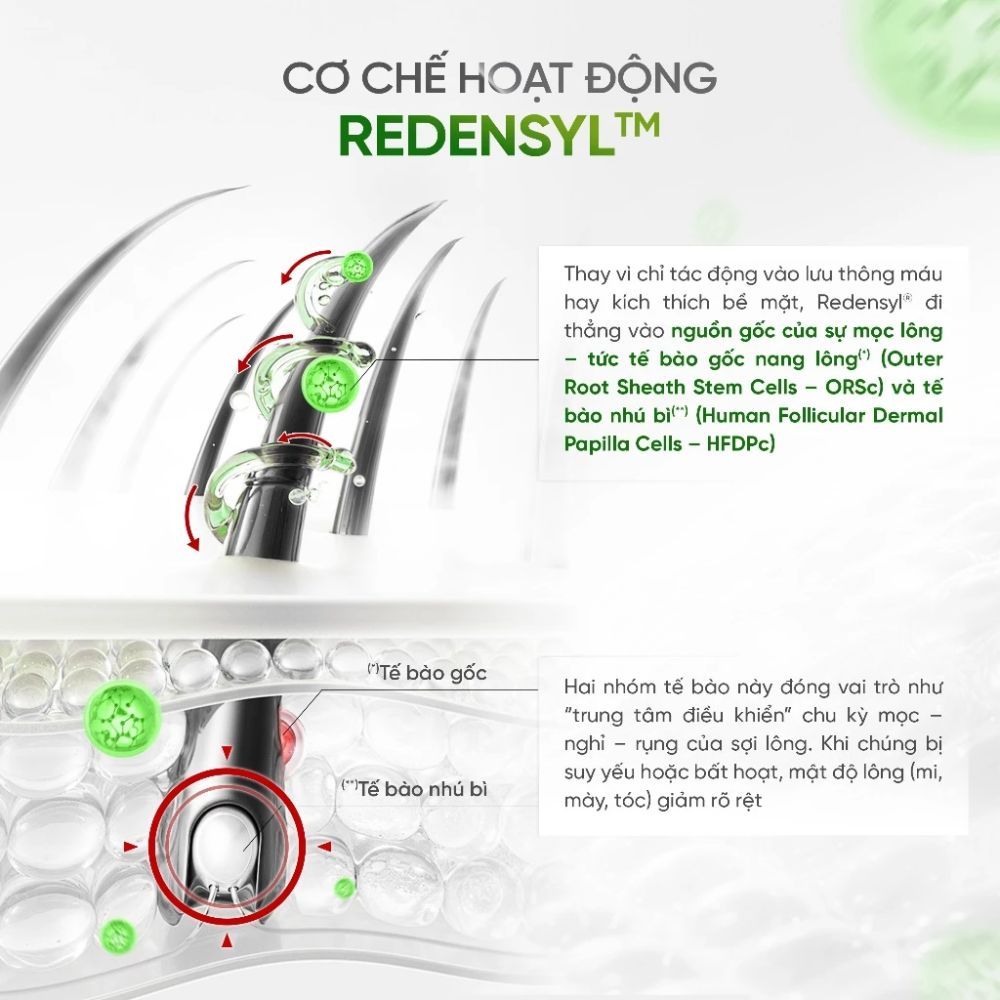 Ảnh 5 của Tinh Chất DAILY EFFECT Growth Peptide Lash & Brow Serum Làm Dày Và Dài Mi - Mày 5g