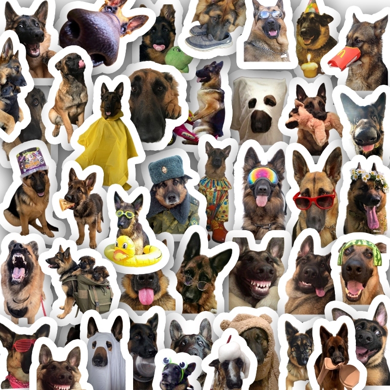 Set 50 sticker chống nước chó becgie German Shepherd, chó chăn cừu Đức dễ thương vui nhộn M000293