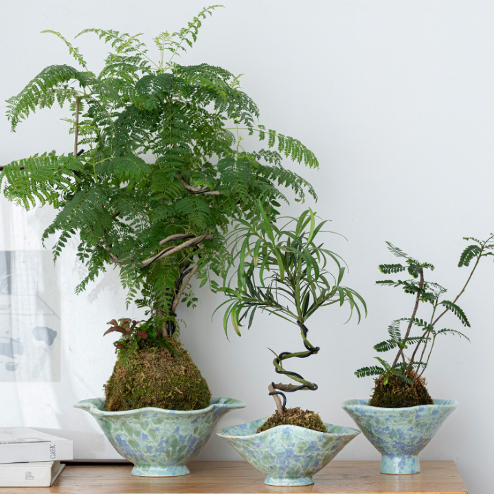Đĩa Bát Bồng Men Hỏa Biến Lam Vân Tinh thể Nhật Bản cắm bonsai ikebana IKE30 thích hợp bày hoa quả t