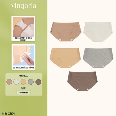Combo quần lót tàng hình không viền VINGO/VINGORIA cạp thường hàng Việt Nam CB74