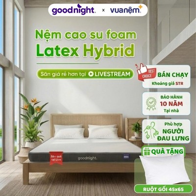 [TẶNG GỐI] Nệm Cao Su Foam Vua Nệm Goodnight Latex Hybrid 10cm, Đệm Cao Su Non, Nệm Gia Đình