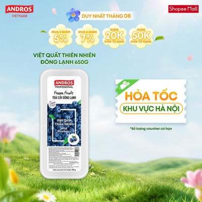 [CHỈ GIAO HÀ NỘI] Việt Quất Thiên Nhiên Đông Lạnh - Không chất bảo quản - Trái cây đông lạnh ANDROS IQF - 650g