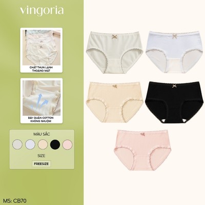 Combo 5 quần lót nữ thun lạnh VINGO/VINGORIA kháng khuẩn CB70