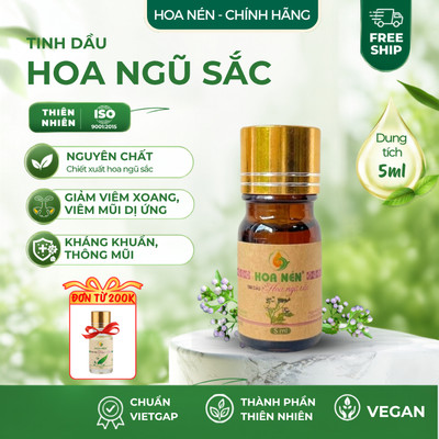Tinh dầu Hoa Ngũ Sắc nguyên chất 5ml - Hoa Nén - Dùng cho người Viê m Xo ang, Viê m Mũi dị ứ ng