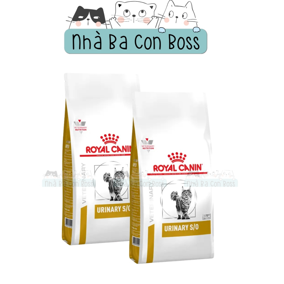 Thức Ăn Hạt Cho Mèo Royal Canin Urinary/ Renal