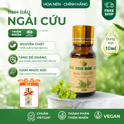 Tinh dầu Ngải C.ứu nguyên chất  - Hoa Nén - Tăng cường đề kh.áng miễ n dịc h 10ml