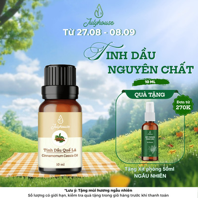 Tinh dầu Quế Yên Bái 10ml JULYHOUSE