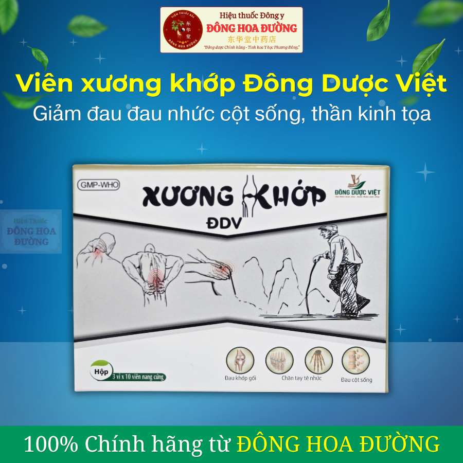 Viên uống Xương Khớp Đông Dược Việt (Hộp 30 viên) Giảm đau nhức cột sống, đau lưng, đau thần kinh tọa, hỗ trợ vận động