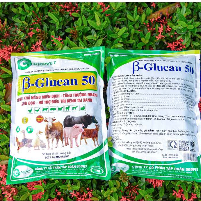B-GLUCAN 50 GOOVET - TĂNG KHẢ NĂNG MIỄN DỊCH, TĂNG TRƯỞNG NHANH, NÂNG CAO TỶ LỆ PHÁT TRIỂ