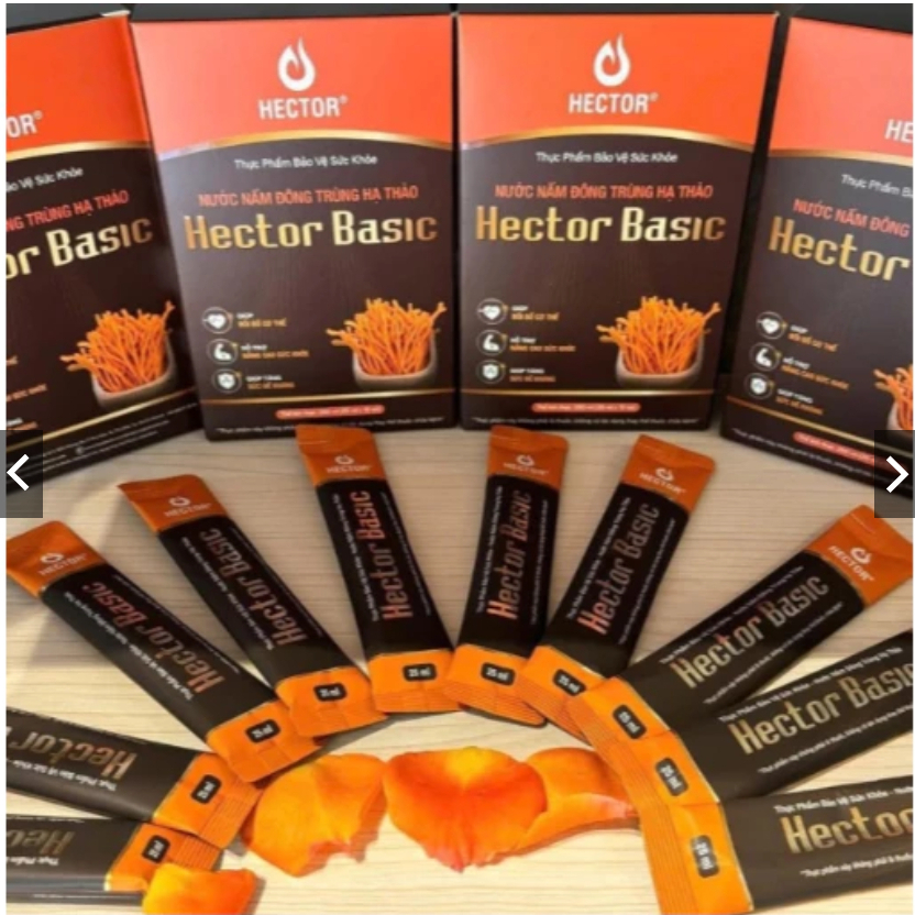 Nước nấm Đông trùng hạ thảo Hector Basic (10 gói x 25ml) [ Chính hãng ]
