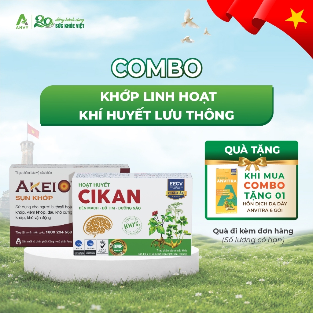 Combo Khớp Linh Hoạt - Khí huyết lưu thông (1 Akeio Sụn Khớp và 1 Hoạt huyết Cikan)